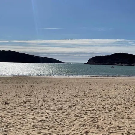 Spacious Villa With Pool 5 Minutes From The Beach * Sao Martinho do Porto
